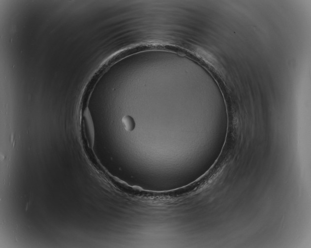 X0000088080934200705251405