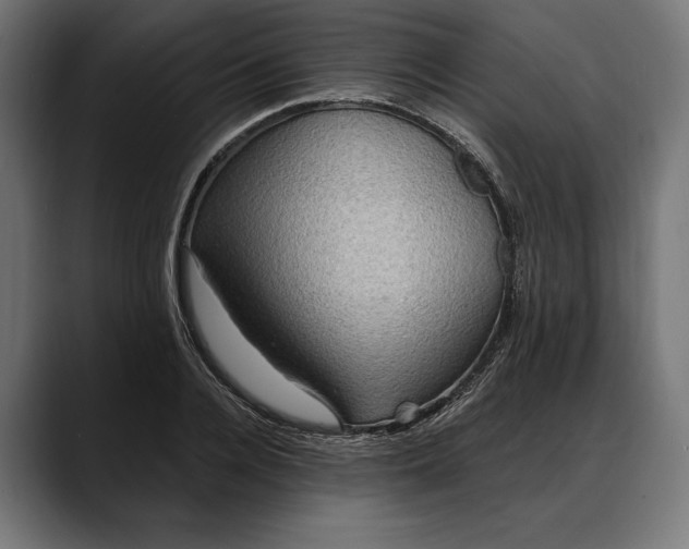 X0000088080936200705251405