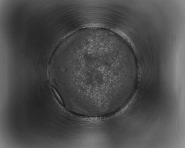 X0000088080937200705251405