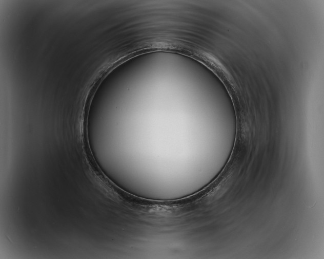 X0000088080938200705251405