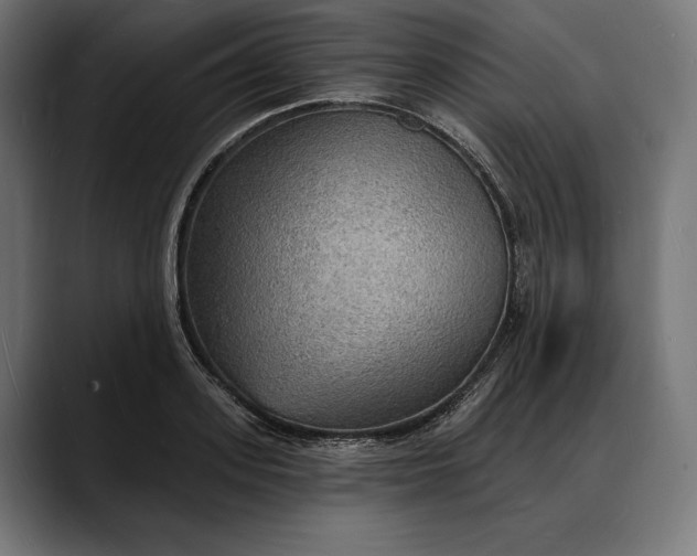 X0000088080939200705251405