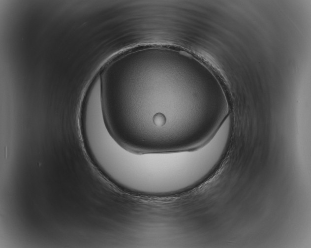 X0000088080942200705251405