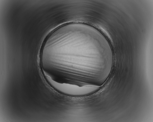 X0000088080944200705251405