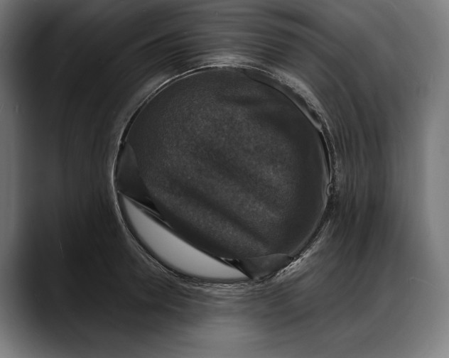 X0000088080946200705251405