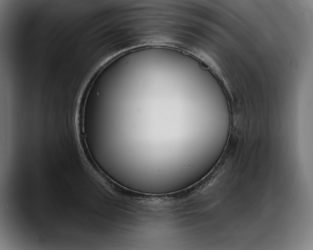 X0000088080947200705251405