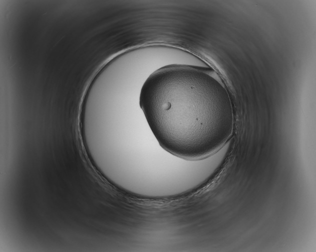X0000088080948200705251405