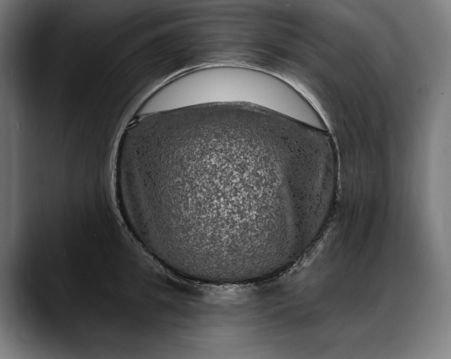 X0000088080949200705251405