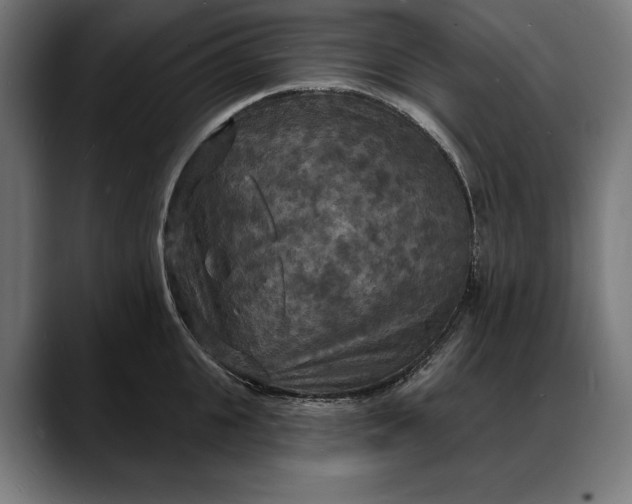 X0000088080951200705251405