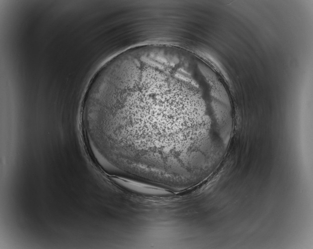 X0000088080952200705251406
