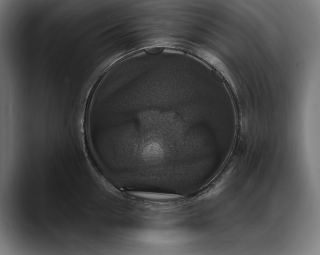 X0000088080954200705251406