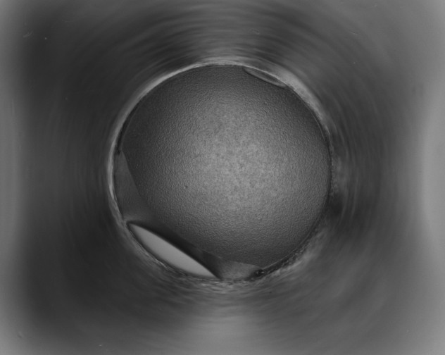 X0000088080955200705251406