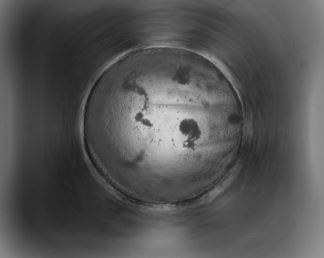 X0000088080957200705251406