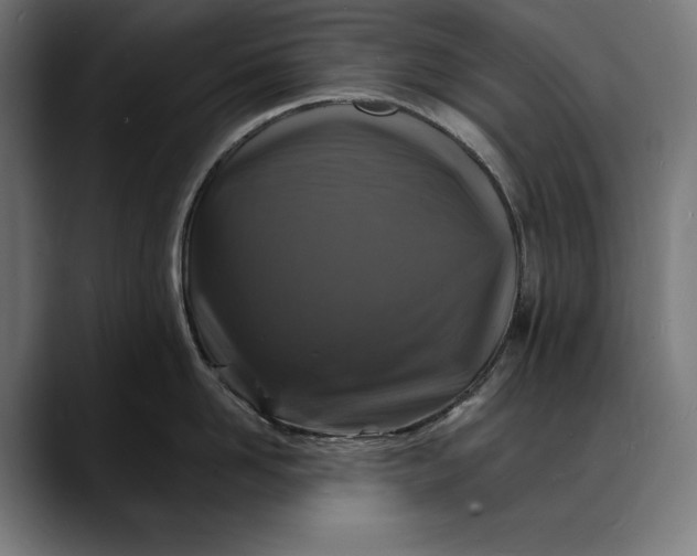 X0000088080958200705251406