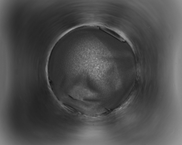 X0000088080959200705251406