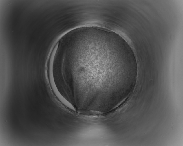 X0000088080960200705251406