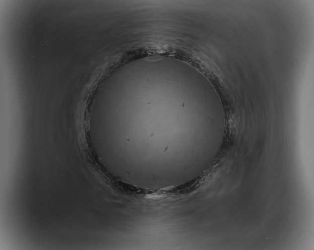 X0000088080961200705251405