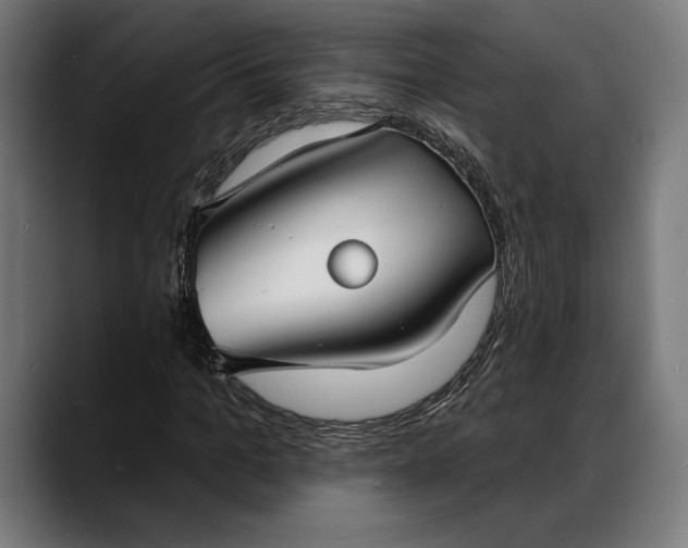 X0000088080965200705251405
