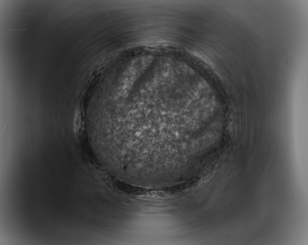 X0000088080966200705251405