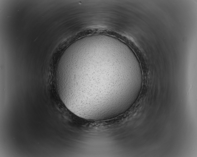 X0000088080967200705251405