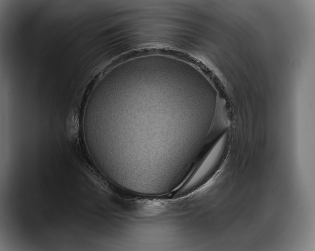 X0000088080969200705251405
