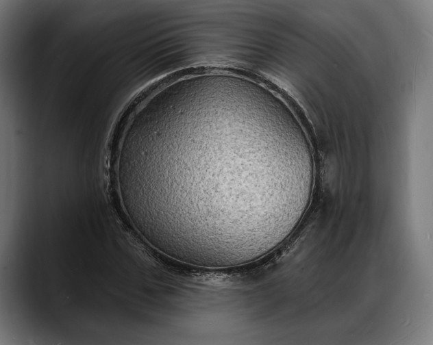 X0000088080971200705251405