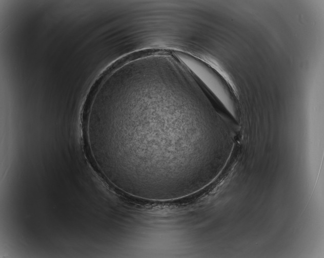 X0000088080972200705251405