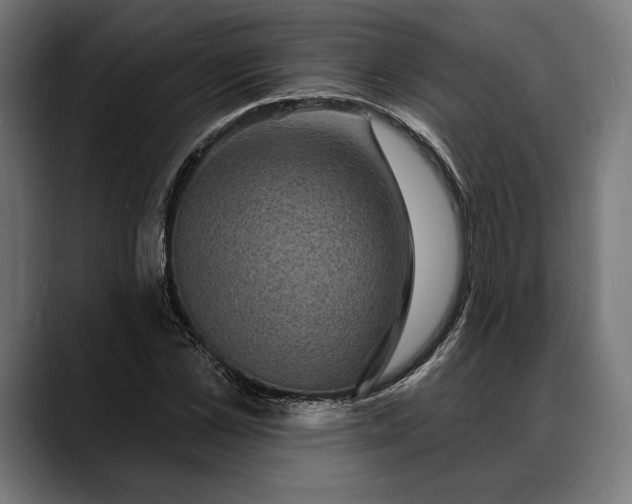 X0000088080973200705251405