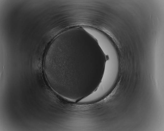 X0000088080977200705251405