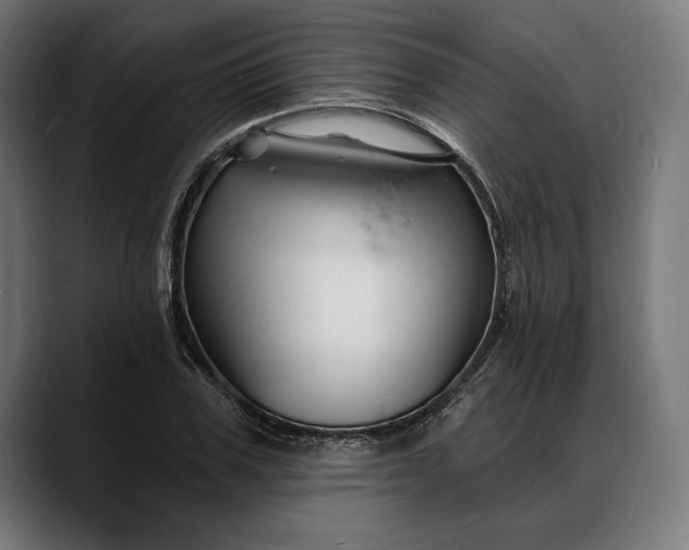 X0000088080979200705251405