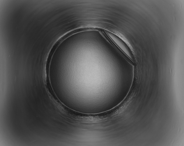 X0000088080980200705251405