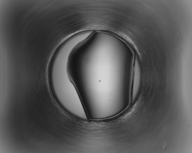 X0000088080981200705251405