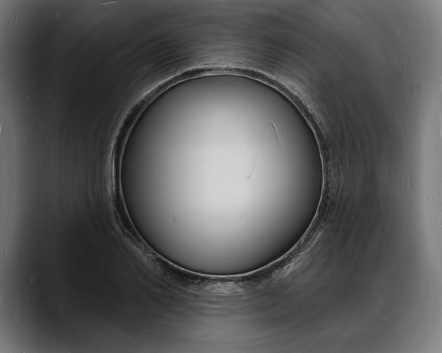 X0000088080982200705251405