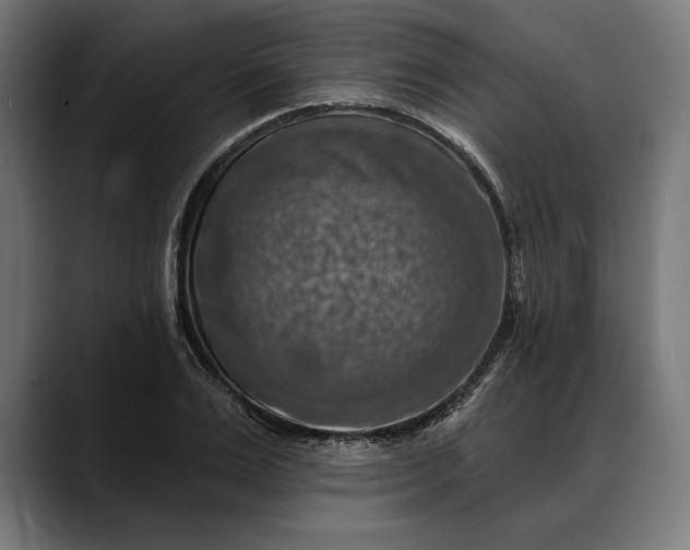 X0000088080983200705251405