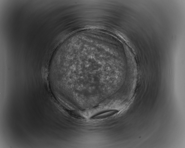 X0000088080985200705251405