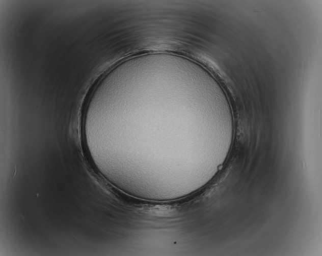 X0000088080986200705251405