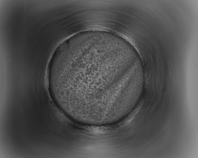 X0000088080987200705251405