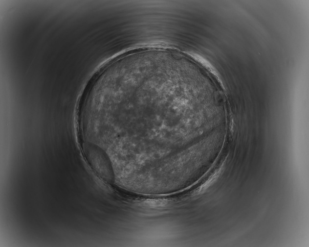 X0000088080989200705251405