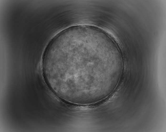 X0000088080990200705251405