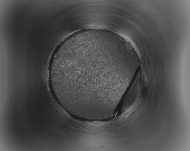 X0000088080992200705251405