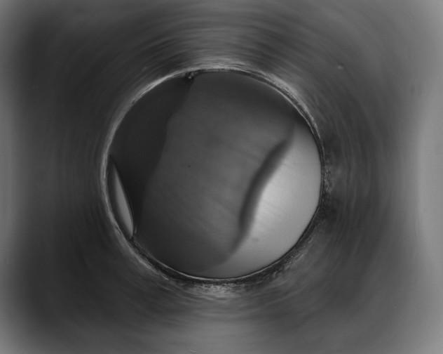 X0000088080995200705251405