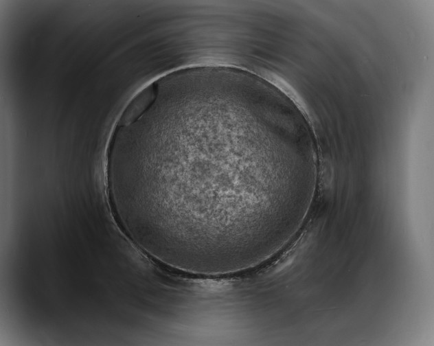 X0000088080996200705251405