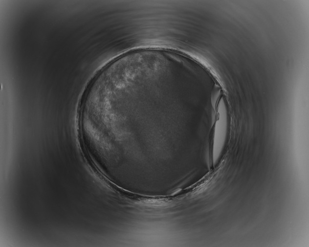 X0000088080998200705251404