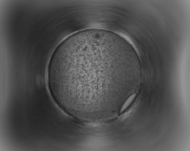 X0000088080999200705251404