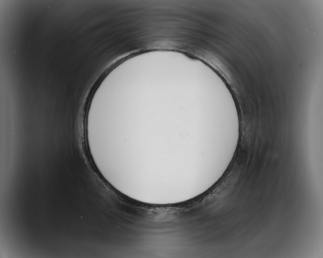 X0000088081000200705251404