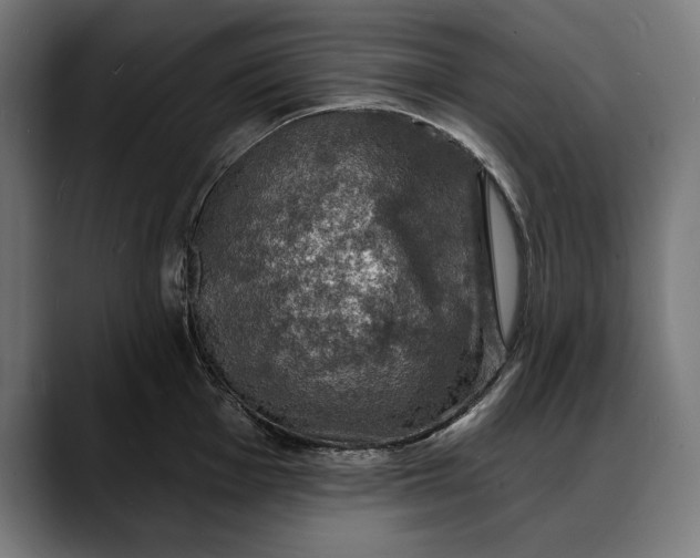 X0000088081001200705251404