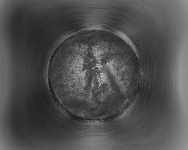 X0000088081002200705251404