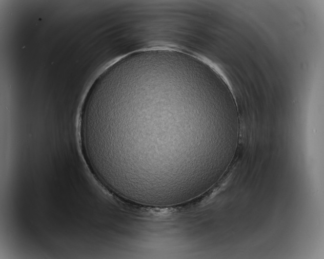 X0000088081003200705251404