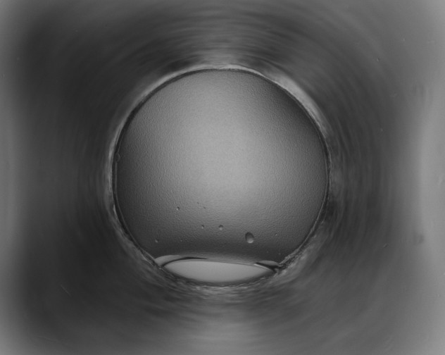 X0000088081004200705251404