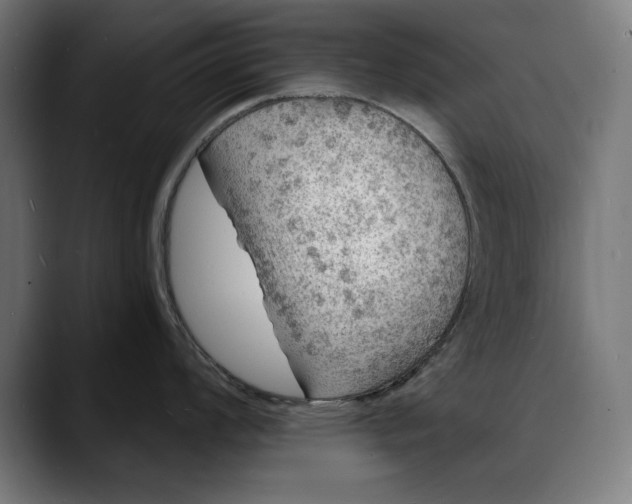 X0000088081008200705251404