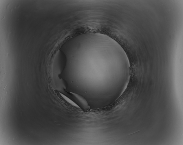 X0000088081009200705251404